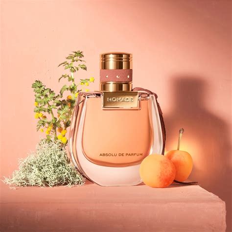 chloe nomade perfume price|chloe perfume cheapest prices.